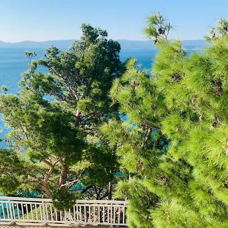 Adriatik Paradise 3* Mimice