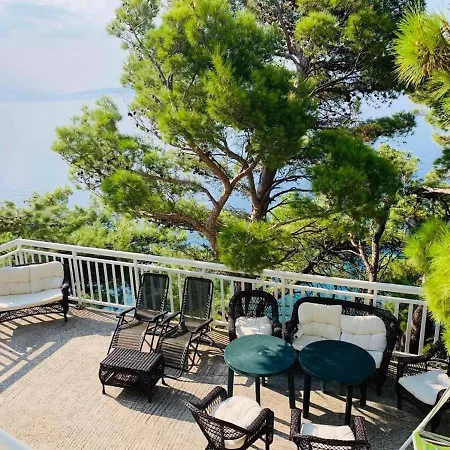 Adriatik Paradise 3* Mimice